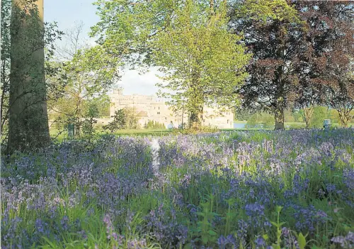 uk46969 leeds castle maidstone kent uk