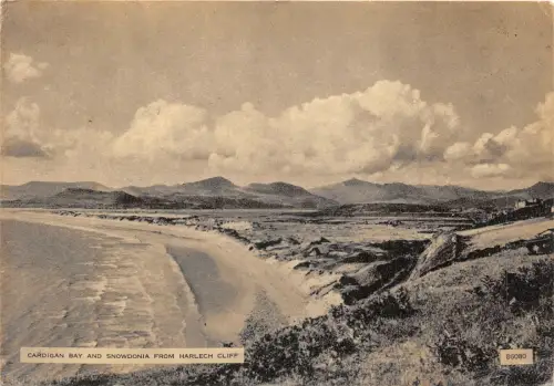 uk51179 cardigan bay and snowdonia from harlech cliff wales real photo uk