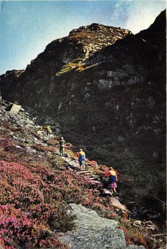 uk43358 traversing the norman steps at cwm bychan merioneth wales uk wandern