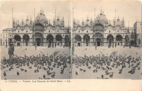 uk42611 le pigeons de saint mare venezia italy stereoscopic card sterea