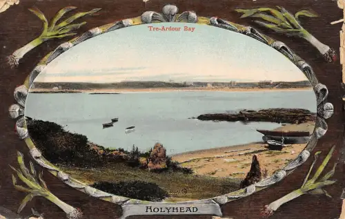 BR99425 Tre Ardour Bay Holyhead Wales geprägt