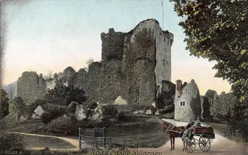 BR70159 Ross Castle Killarney Wagen Irland