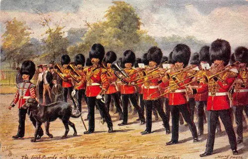 B94203 die irische Garde Irland Militaria Militär Soldaten