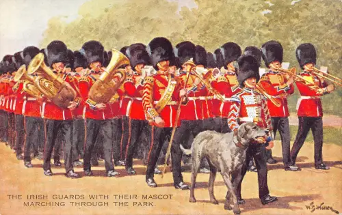 BR64700 Hund The Irish Guards mit Hund Irland Armee Militär Militaria England