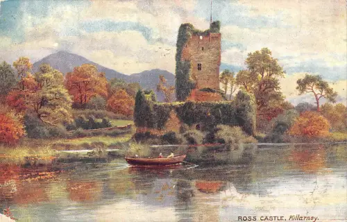 uk29610 ross castle killarney ireland