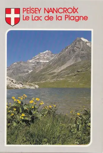 BF15315 peisey nancroix le lac de la plane france front/back image