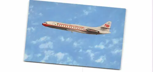 Br44762 TaP Portugiesisches Luftfahrtflugzeug Flugzeug