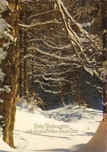 B34305 Trohe Weihnachten und ein glucfliches neues jahr new year germany