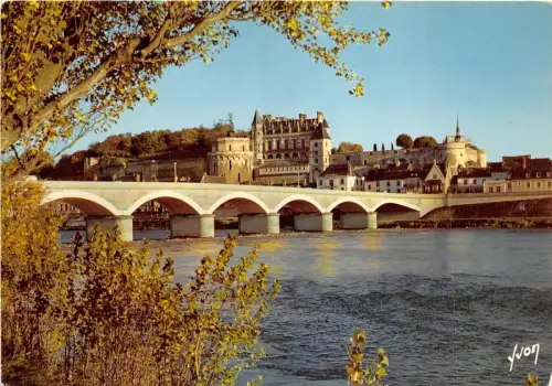B31476 Val de Loire Amboise le Chateu et le Pont sur Loire Frankreich