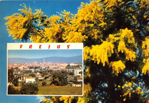 BR487 France Frejus multi vues