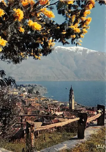 B84153 ascona lago maggiore primavera con mimosa switzerland