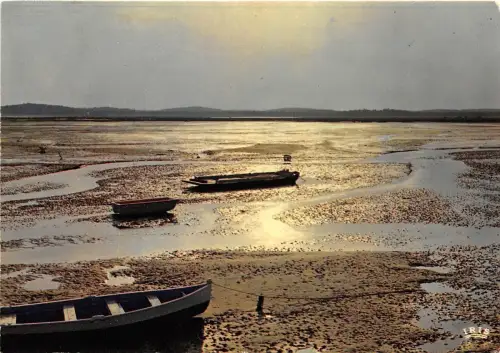 BR13923 Coucher de soleil sur le Bassin d Arcachon france