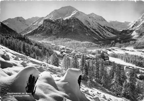 B29773 pontresina m palu rosegruppe switzerland