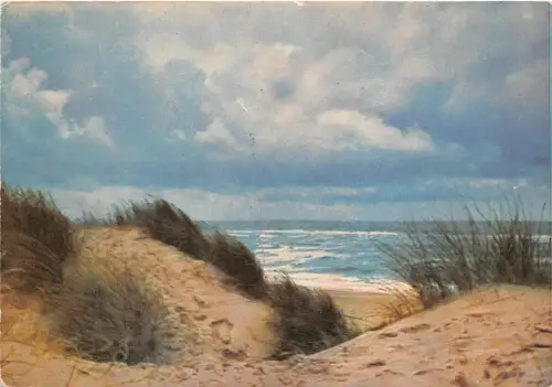 B35901 Dunen am Meersstrad germany