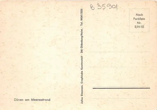 B35901 Dunen am Meersstrad germany