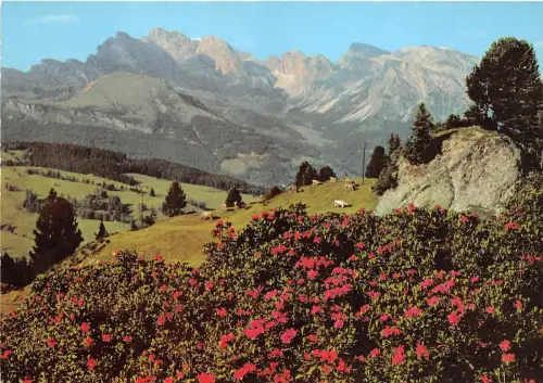 BG28025 verso le odle seiser alm alpe di siusi dolomiti italy