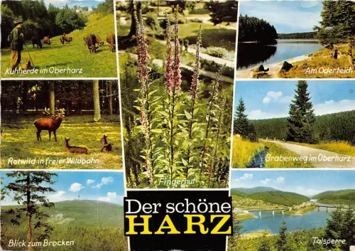 BG12676 der schöne harz multi views cerf deer germany