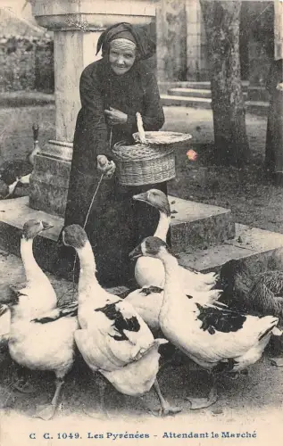 br107266 les pyrenees begleiter le marche frankreich kostümtypen folklore