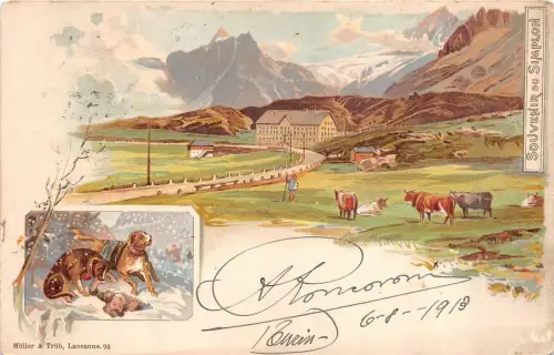 BR36484 Simplon Kuhvacher Hund Chaien Schweiz