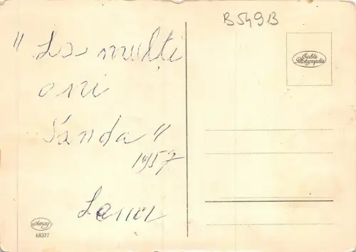 B54913 Blumen Fleurs