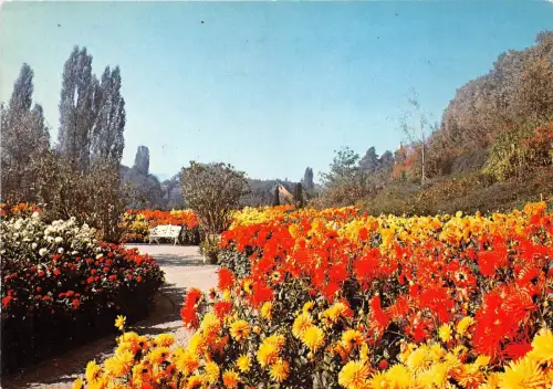 B47335 Insel Mainau im Bodensee Dahlien im Sudgarten Deutschland