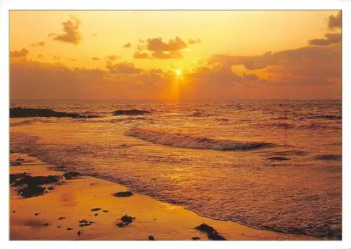 B50230 dans le soleil couchant sunset france