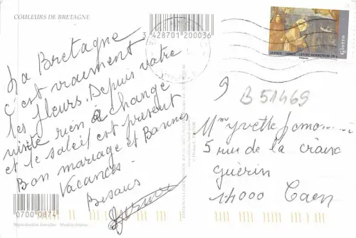 B51469 Fleurs Blumen Multiviews Bretagne Frankreich