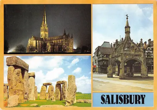 B100224 salisbury uk