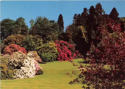 B86987 killerton exeter devon garden in early summer uk