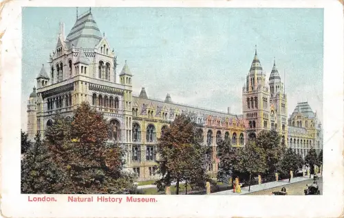 BR94691 london natural history museum uk