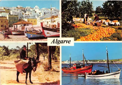 BR8481 Algarve Portugal