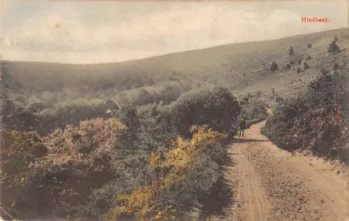 BR81693 Hinterkopf UK