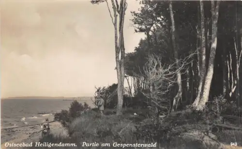 Lot 95 ostseebad heiligendamm partie am gespensterwald deutschland echtfoto