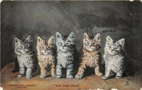 Lot 95 Landors Katze wir sind fünf Tier Kätzchen Postkarte Tier