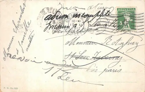 Lot 58 Schweiz Möwen in Genf Genf Schwan