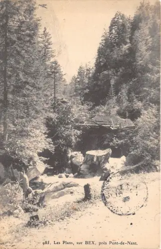 B92226 les plans sur bex pres pont de nant switzerland