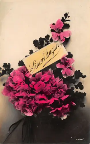 Lot 48 herzliche Grüße sinceri auguri italien Blumengrüße