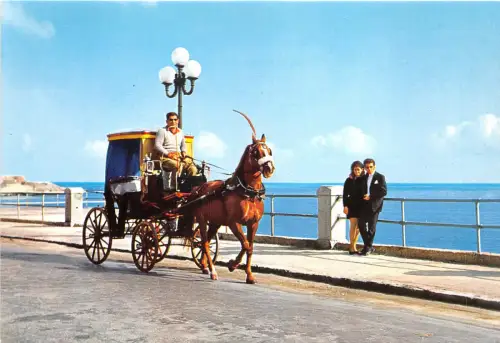 Lot 42 traditionelle Pferdekutsche il karrozzin malta typen folklore