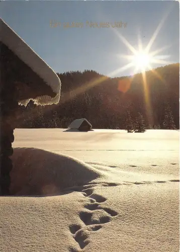 B35485 Deutschland Winterlandschaft Neujahr Neujahr Germany