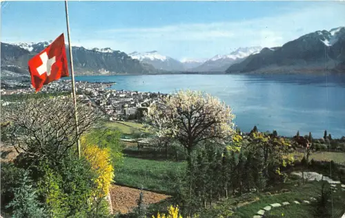 Lot 61 schweiz vevey peilz tower