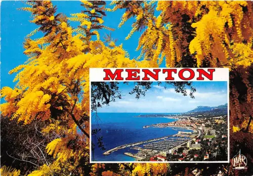B52565 Menton multi vues france