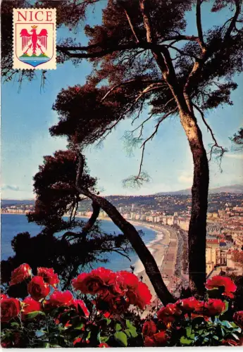 BR23956 Vue generale Nice france