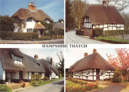 uk37098 hampshire tatch uk lot 10 uk