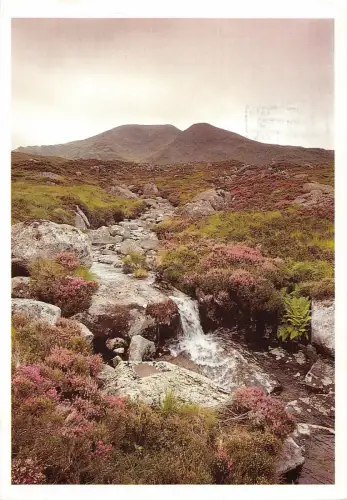 uk36767 sauck burn galloway scotland uk lot 8 uk