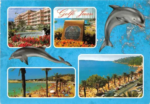 B51478 Tiere Animaux Delfine Dauphins