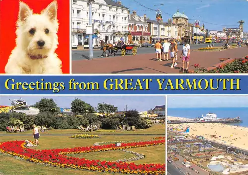 uk36458 greetings from great yarmouth uk lot 7 uk yorkie dog
