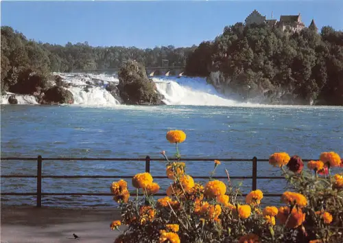 BG28247 Rheinfall Schweiz