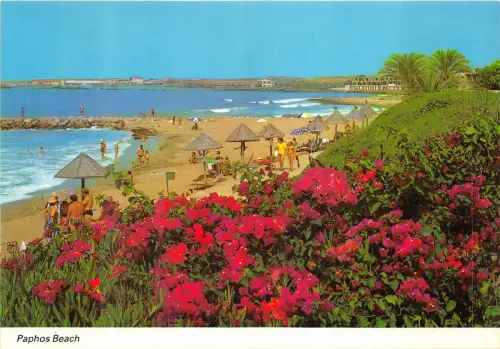 Lot 1 Zypern Paphos Strand