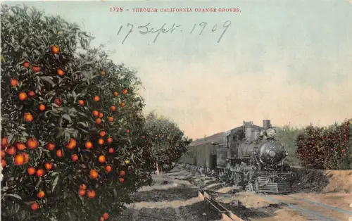 br105654 orange groves california train railway landwirtschaft