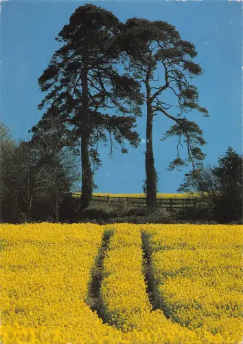 uk35493 landscape plymouth uk lot uk 1